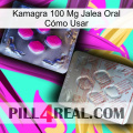 Kamagra 100 Mg Jalea Oral Cómo Usar 38